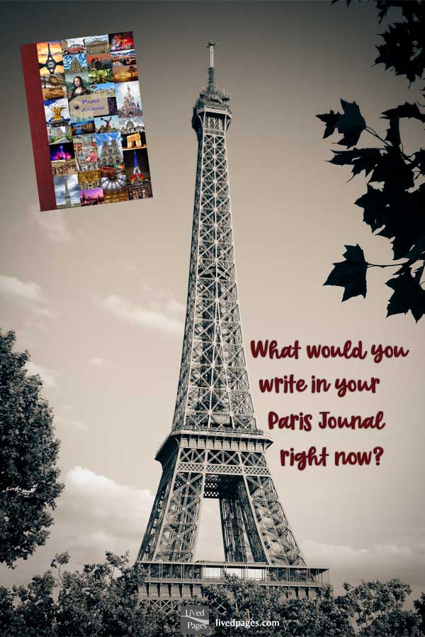 Paris Travel Diary